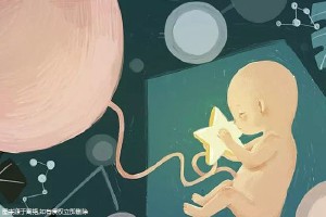 沪上生殖医学中心